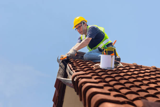 Best Green or Eco-Friendly Roofing Solutions  in Mount Clemens, MI